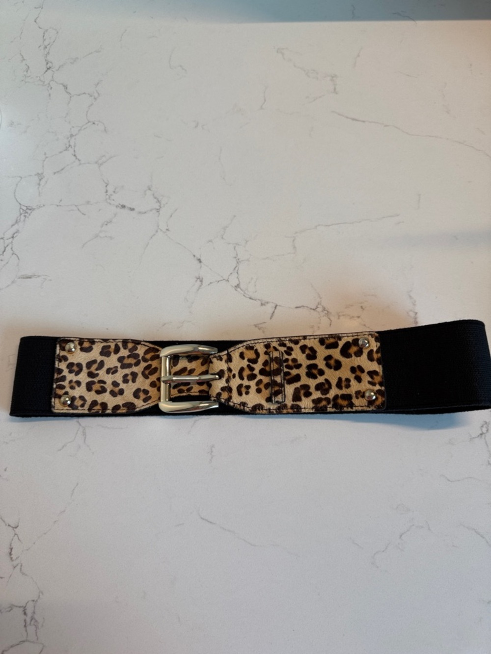 Express Leopard Print Elastic Waist Belt with Gold Buckle